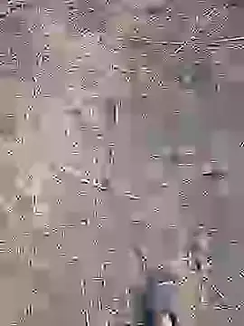 Cute Boy 4 online show from 3, 2, 2026