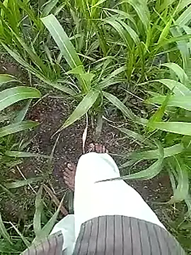 Cute Boy 4 online show from 17, 4, 2026