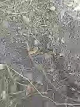 Cute Boy 4 online show from 4, 4, 2026