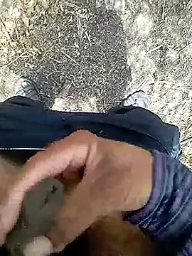 Cute Boy 4 online show from 4, 6, 2026