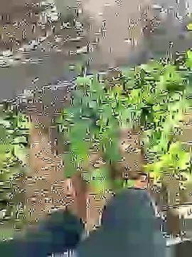 Cute Boy 4 online show from 16, 7, 2026