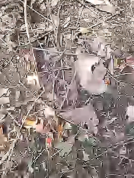 Cute Boy 4 online show from 19, 4, 2026