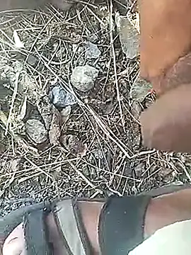 Cute Boy 4 online show from 18, 3, 2026