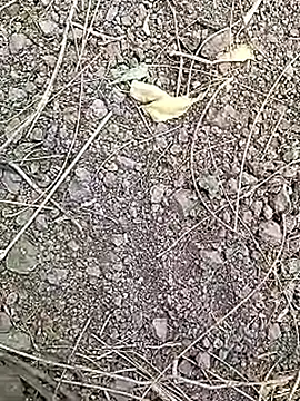 Cute Boy 4 online show from 7, 4, 2026