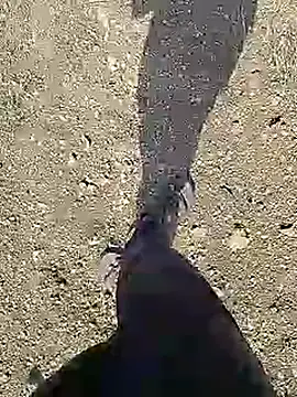 Cute Boy 4 online show from 10, 4, 2026