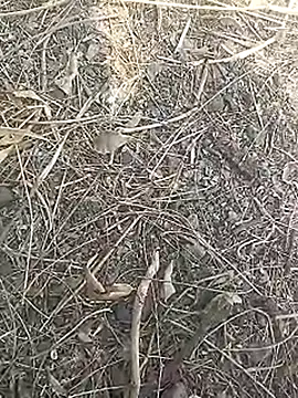 Cute Boy 4 online show from 16, 3, 2026