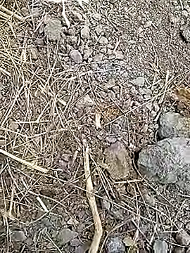 Cute Boy 4 online show from 8, 4, 2026