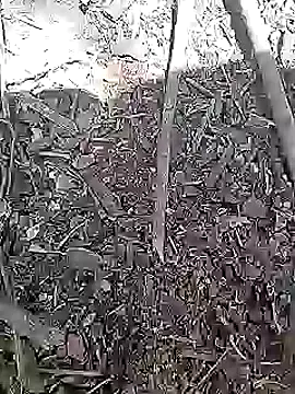 Cute Boy 4 online show from 15, 4, 2026