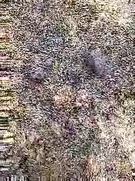 Cute Boy 4 online show from 29, 4, 2026