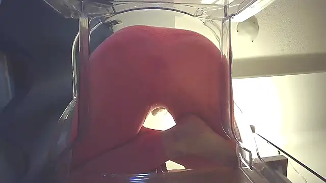 Unholy Cherry online show from 5, 4, 2026