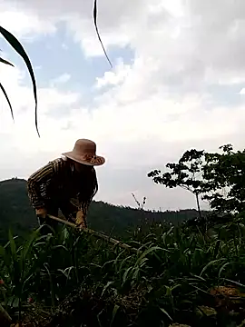 Tina-beo online show from 10, 4, 2026