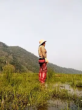 Tina-beo online show from 2, 4, 2026