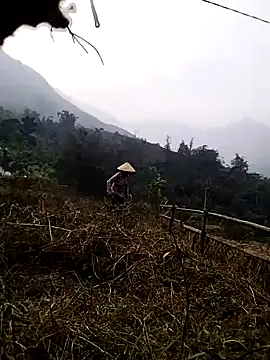 Tina-beo online show from 27, 3, 2026