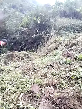 Tina-beo online show from 13, 3, 2026