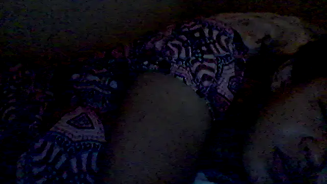 lorraine2036 online show from 17, 2, 2026