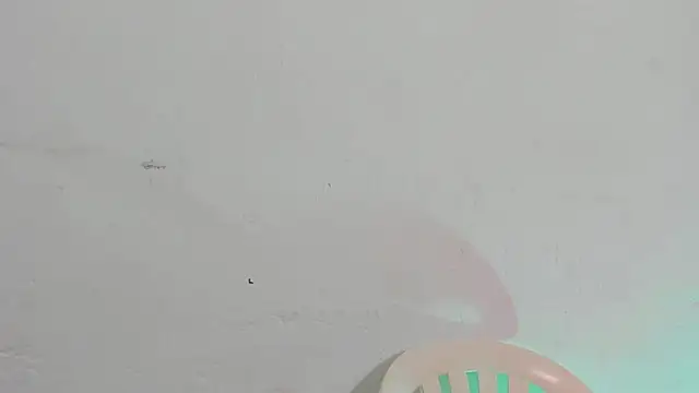 Emely pregnantt online show from 13, 2, 2026