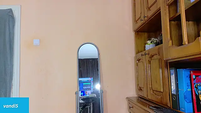 Snapshot of VandiFive chatting on 2, 3, 2026 VandiFive online show from 2, 3, 2026