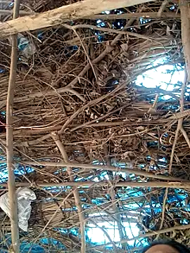 Rajni248096 online show from 12, 3, 2026