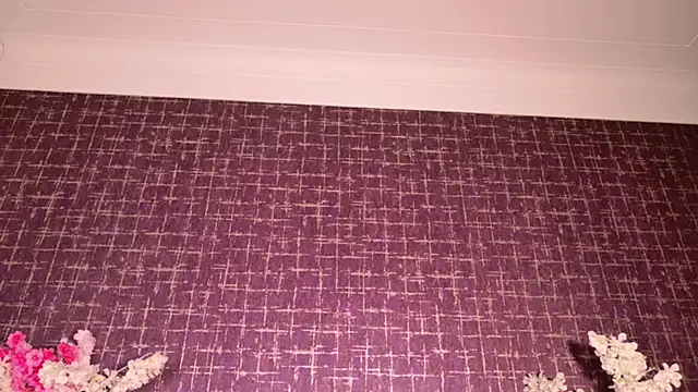 mollyjackson  online show from 12, 3, 2026