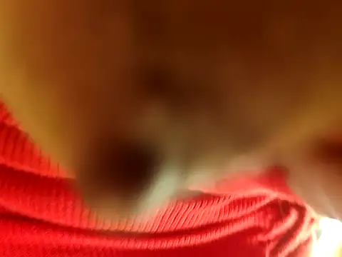 Brissperu18 online show from 12, 2, 2026