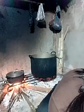 maimai1100 online show from 27, 3, 2026