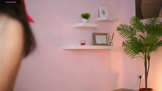 JullyFox online show from 3, 5, 2026