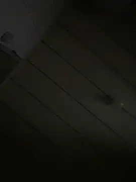 Youyou 12 online show from 5, 3, 2026