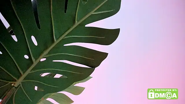 lovesweetash online show from 13, 4, 2026