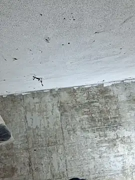 Mey mey2k3 online show from 4, 4, 2026