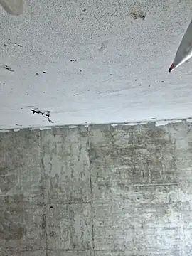 Snapshot of Mey_mey2k3 chatting on 2, 3, 2026 Mey mey2k3 online show from 2, 3, 2026