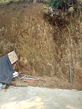 sushi-asa online show from 3, 4, 2026