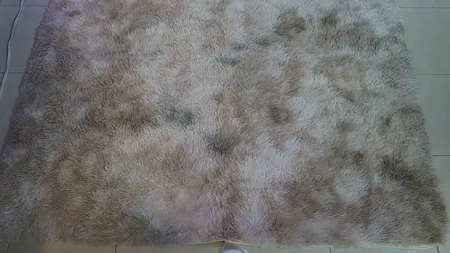 Ladyy brownn online show from 19, 3, 2026