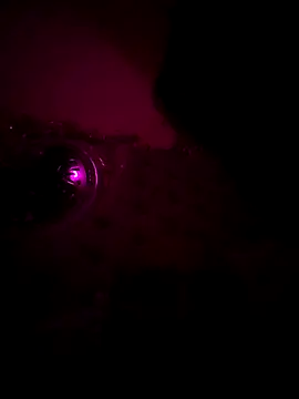 Raj teluguboy online show from 6, 3, 2026