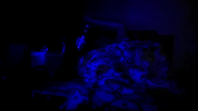 bialoba7 online show from 16, 2, 2026