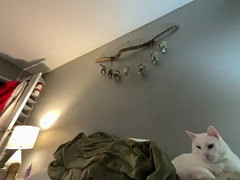 Snapshot of Sexysanka chatting on 5, 2, 2026 Sexysanka online show from 5, 2, 2026