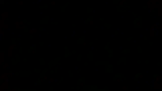 Luanatrav1 online show from 12, 3, 2026