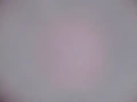 Snapshot of Luanatrav1 chatting on 21, 2, 2026 Luanatrav1 online show from 21, 2, 2026