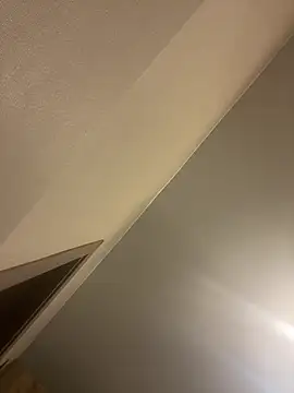 Snapshot of Luna-L chatting on 1, 2, 2026 Luna-L online show from 1, 2, 2026