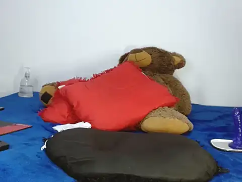 Snapshot of Davissmith89 chatting on 17, 2, 2026 Davissmith89 online show from 17, 2, 2026