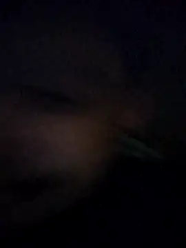 Snapshot of matheusalvesba chatting on 15, 4, 2026 matheusalvesba online show from 15, 4, 2026