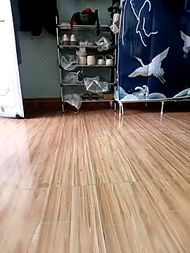 Tulip ii online show from 23, 2, 2026