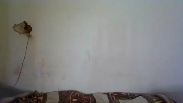 NickiKisinger online show from 26, 3, 2026