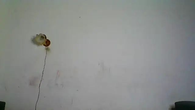 Snapshot of NickiKisinger chatting on 7, 2, 2026 NickiKisinger online show from 7, 2, 2026