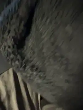 xxlovedick online show from 6, 3, 2026