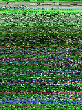 missgirl88 online show from 17, 4, 2026