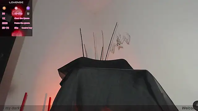 Snapshot of Darkyll33 chatting on 4, 2, 2026 Darkyll33 online show from 4, 2, 2026