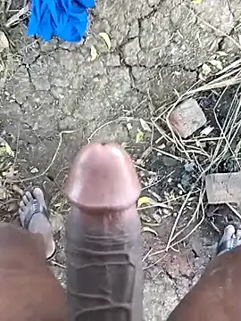 kalai 32 online show from 10, 2, 2026