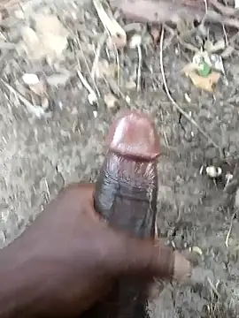 kalai 32 online show from 5, 4, 2026