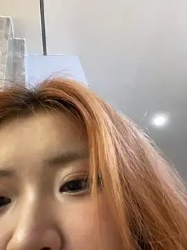 Rabbit-15 online show from 7, 4, 2026