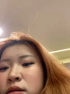 Rabbit-15 online show from 8, 4, 2026